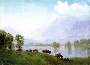 Albert Bierstadt Buffalo Country oil painting